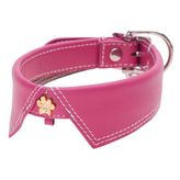 hamish mcbeth dog collar